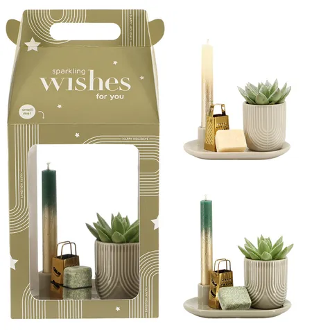 Aromatic Christmas Giftset large - Snowy succulent